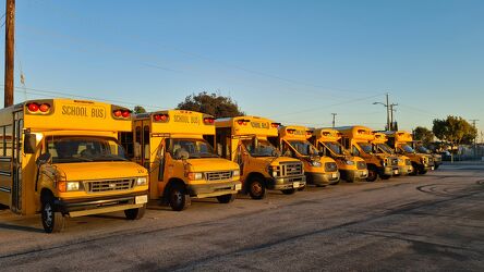 Bild mit Gelb, Blauer Himmel, USA, Kalifornien, Amerika, Parkplatz, Schulbus, school bus