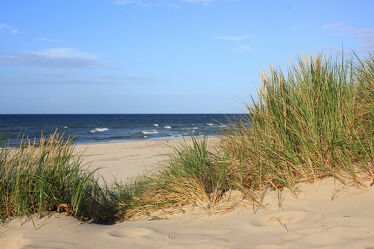 Bild mit Gräser, Herbst, Urlaub, Strand, Ostsee, Dünengras, Dünenlandschaft, Küste, Rügen, Norden