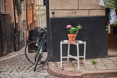 Bild mit Kopfsteinpflaster, Strasse, Pflanze, Schweden, Stockholm, Fahrrad, Stillenben