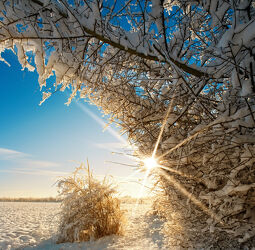 Bild mit Winter, Schnee, Weiß, Sonnenuntergang, Sonnenaufgang, Sonne, Baum, Landschaft, Frost, Ast