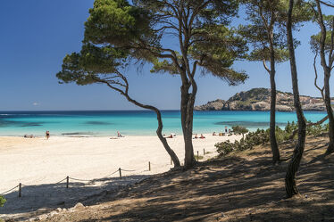 Bild mit Strand, mallorca, Balearen, Cala Agulla