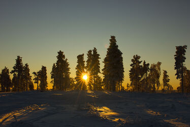 golden hour in Levi in finnish Lapland