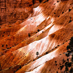 Bild mit Natur, Baum, Landschaft, Bryce Canyon, USA, Nationalpark, Erosion, USA Nationalparks, Naturschönheit, Utah