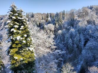 Bild mit Bäume, Winter, Schnee, Wald