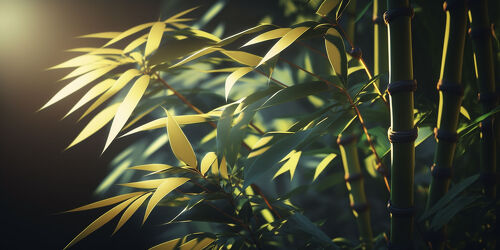 Nahaufnahme einer leuchtend grünen Bambuspflanze