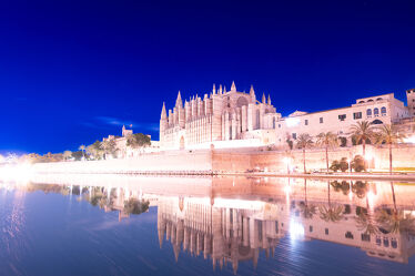 Kathedrale Palma by Night