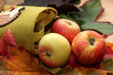 Bild mit Herbst, Blätter, Obstart, Obst, Apfel, Stillleben, Ernte, Laub, tüte, apfelernte