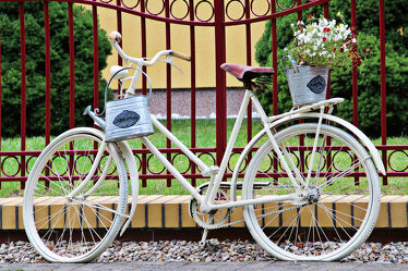 Altes Fahrrad und Blumen
