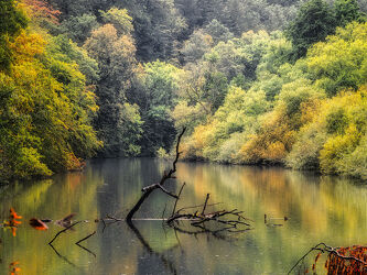 Bild mit Farben, Wasser, Flüsse, Herbstblätter, Landschaften im Herbst, Stille, Weites_Land