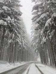 Bild mit Landschaften im Winter