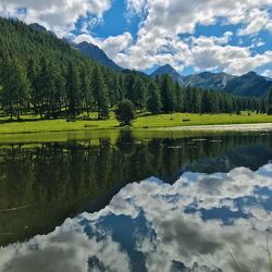 Bild mit Natur, Wasser, Bäume, Wolken, Wald, Seeblick, Schweiz, Wasserspiegelung