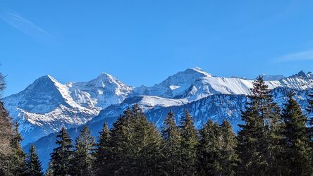 Bild mit Berge, Alpen, Swiss Mountain, Alps, eiger, monch, jungfrau, swiss alps, swiss mountains