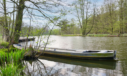 Bild mit Boote, Spreewald, Fluss, Ufer, Spree, flussarm, kähne bäume