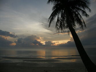 Bild mit Sandstrand, Palme, Welle, Thailand, Morgendämmerung, sanfte Welle