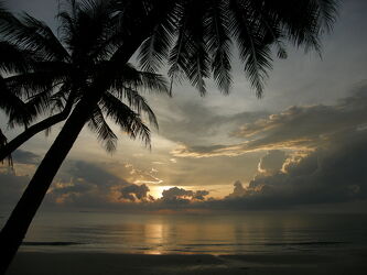 Bild mit Sonnenuntergang, Palmen, Meer, Thailand, Leinwandbild