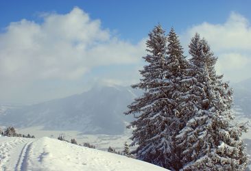 Bild mit Landschaften, Berge, Winter, Winter, Schnee, Wege, Tannen, Landschaft, winterlandschaft, berg, schneelandschaft