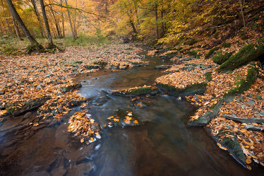 Bild mit Natur, Wasser, Landschaften, Gewässer, Seen, Flüsse, Herbst, Landschaft, See, Landschaften im Herbst, Fluss