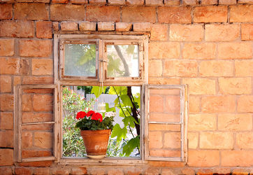 Bild mit Blumen, Architektur, Fenster, Blume, Ziegelwand, Blick, Künstlerisch, fassade, Fensterblick, mediteran