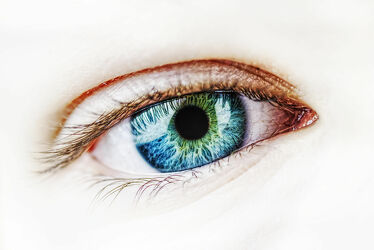 Bild mit Augen, Wimpern, Auge, Eye, Eyes, Iris, Pupille, Regenbogenhaut