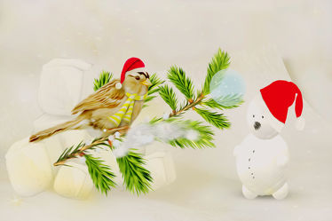 Bild mit Winter, Schnee, Weihnachten, Christmas, Winter & Weihnachtszeit, schneemann