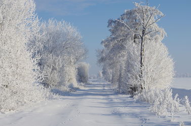 Bild mit Natur, Winter, Schnee, Baum, Landschaft, winterlandschaft, Winterlandschaften, Natur und Landschaften, Land