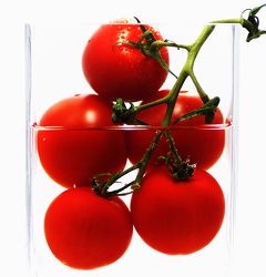 Tomaten im Glas Abstrakt