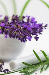 Küchen Kräuter Lavendel Duft