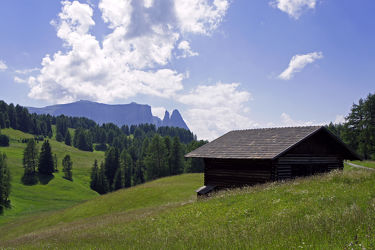 Hütte auf der Alm in Südtirol