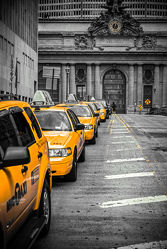 Yellow Cabs waiting - Grand Central Terminal - bw