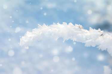 Bild mit Winter, Schnee, Eis, Winterzeit, Kälte, Frost, Ast, Äste, gefroren, Schneeflocken