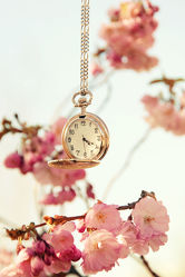 Bild mit Frühling, Uhren, Uhr, Stilleben, frühjahr, Zeit