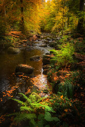 Bild mit Herbst, Wasserfall, Harz, Fluss, Elend, bode, Südharz, warme Bode, Elendstal, Schirke