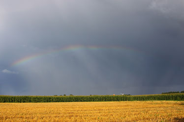 Felder unterm Regenbogen