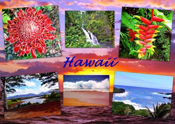 Collage - Hawaii