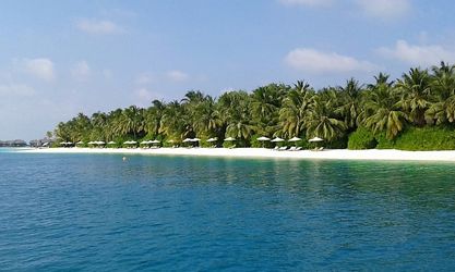 Bild mit Palmen, Strand, Meer, Paradies, Entspannung, Malediven, ozean, Indischer Ozean, Relaxen, Traumstrand, weißer Sand