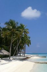 Bild mit Malediven