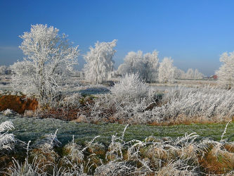 Bild mit Herbst, Nebel, Winterzeit, Kälte, Rauhreif, Raureif, Raureif, Dunst, Kälteeinbruch, Nässe, Wintereinbruch