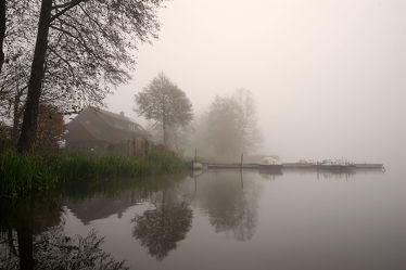 Bild mit Bäume, Herbst, Herbst, Sträucher, Nebel, Boote, Bootssteg, Wardersee, Ufer, Schleswig_Holstein