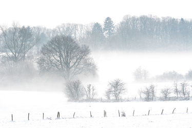 Bild mit Bäume, Winter, Schnee, Sträucher, Nebel, Landschaft, Felder, Winterzeit, Kälte, Frost, Wiesen, Kälteeinbruch, Wärmeeinbruch