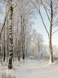 Bild mit Schnee, Sonnenschein, Wanderweg, winterlandschaft, Schneelandschaften