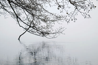 Bild mit Wasser, Gewässer, Nebel, See, Wassertropfen, Spiegelungen, Kälte, Äste, Zweige, Herbsttag