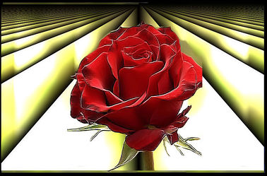 Bild mit Rose, Makro Rose, Rosenblüte, Blumen im Makro, Digital Art, Digitale Kunst, Blumenmakro, Digitale Blumen