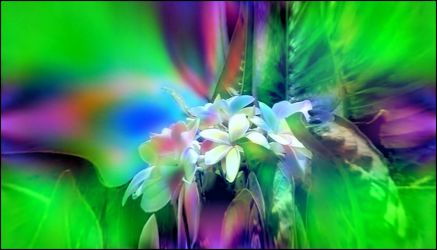 Bild mit Blütenzauber, Florales, Digital Art, Blumiges