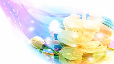 Bild mit Blütenzauber, blütenkompositionen, Blüten, Bildercollagen, Stillleben & Collagen, Collagen, Digitale Blumen, Blumen Collagen