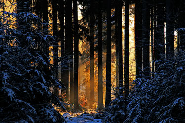 Bild mit Natur, Winter, Wälder, Sonnenuntergang, Sonnenaufgang, Sonne, Wald, Sonnenstrahlen, Sonnenlicht, Winterwald