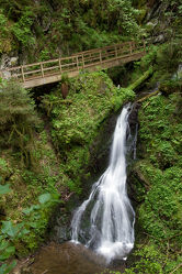 Bild mit Natur, Wasser, Gewässer, Wälder, Wasserfälle, Wald, Wasserfall, Am Wasser