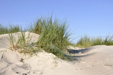 Bild mit Grün, Sand, Strand, Sandstrand, Ostsee, Dünen, Dünengras, Wellness, Strandhafer, Hell, freundlich
