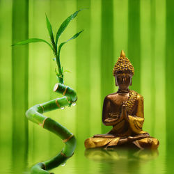 Bild mit Meditation, Ruhe, Entspannung, Buddha, Wellness, Spa, zen