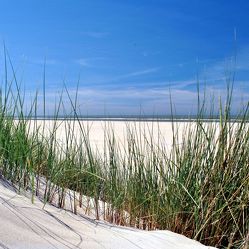 Bild mit Natur, Landschaften, Sand, Sandstrand, Ostsee, Meer, Landschaft, Düne, Dünen, Dünengras, Am Strand, Strandhafer
