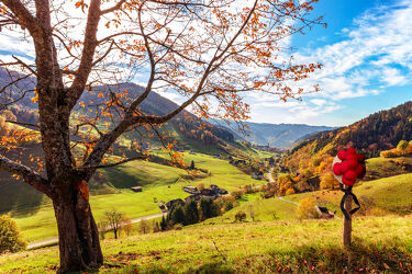 Bild mit Natur, Weiden und Wiesen, Herbst, Landschaft, Gebirge, tal, schwarzwald, bollenhut, trachtenhut, Münstertal